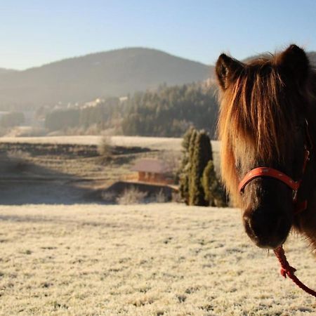 S'Heimatgfuehl Villa Schwarzenberg  ภายนอก รูปภาพ