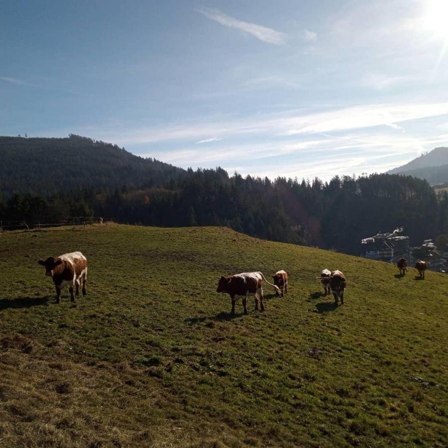 S'Heimatgfuehl Villa Schwarzenberg  ภายนอก รูปภาพ
