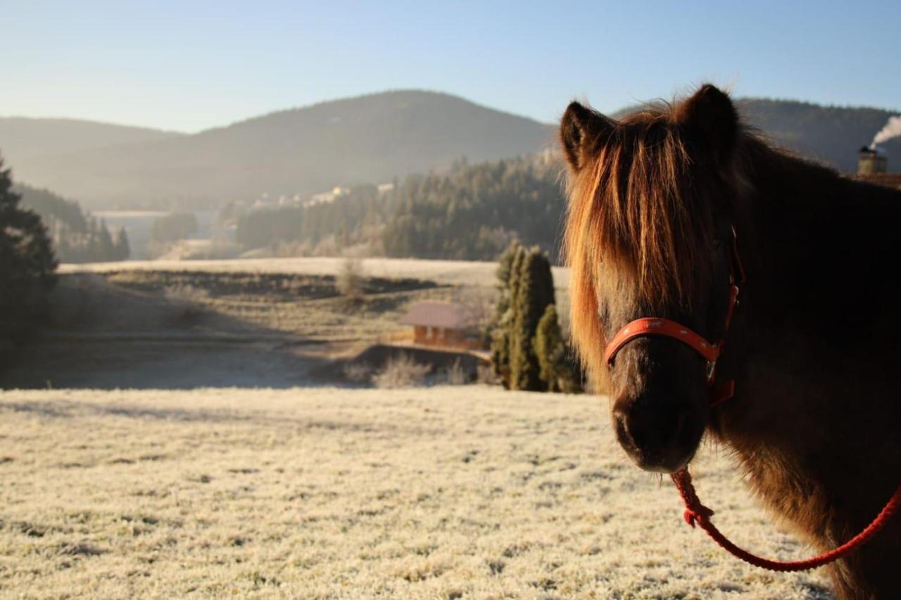 S'Heimatgfuehl Villa Schwarzenberg  ภายนอก รูปภาพ