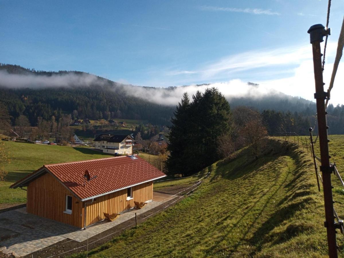 S'Heimatgfuehl Villa Schwarzenberg  ภายนอก รูปภาพ